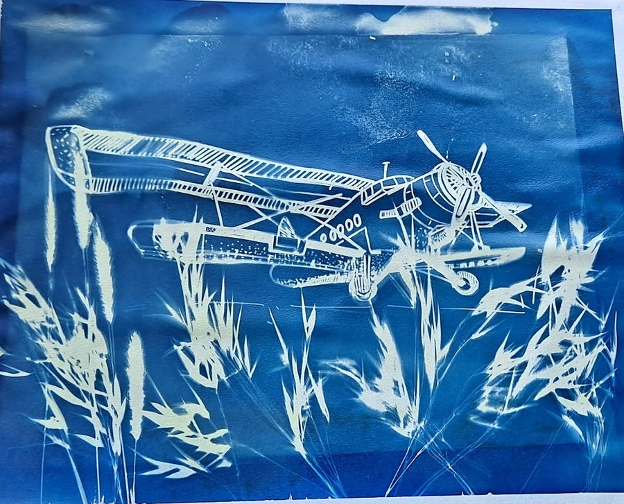 Cyanotype print of grasses and a drawn biplane in Prussian blue and white, by Ayesa Kaur
