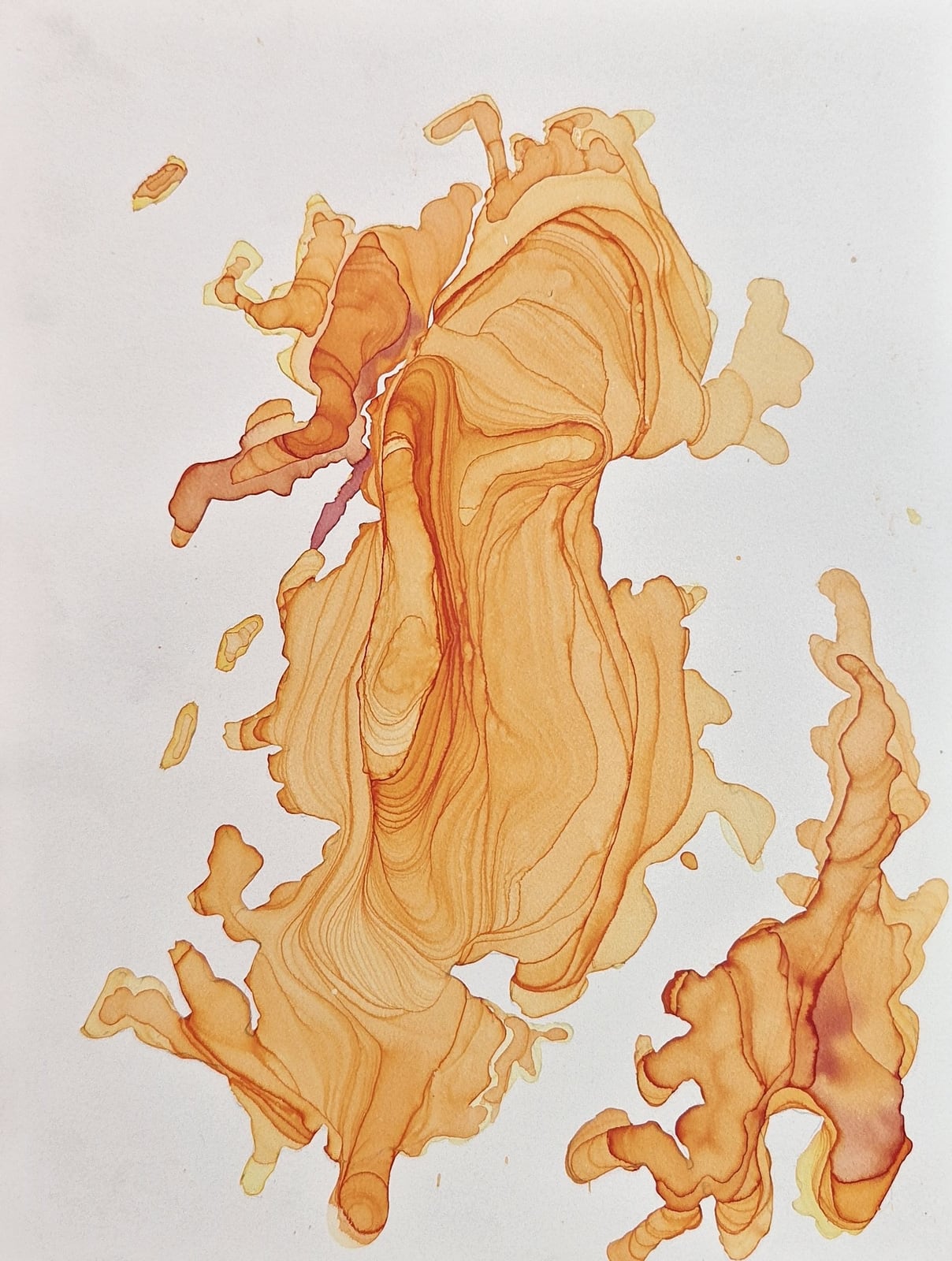 Ayesa Kaur’s amber watercolor on stone paper, pooled into a shape ringed with fine tide lines like a contour map