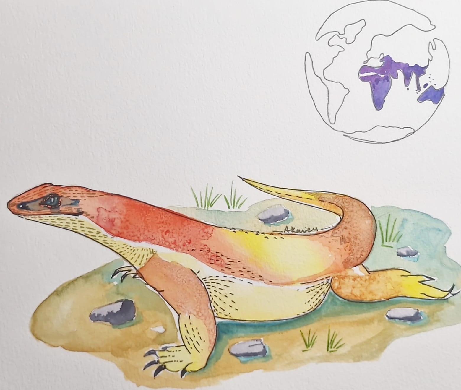 Ayesa Kaur’s watercolor of an orange and yellow monitor lizard on a patch of ground, with a pencil globe showing where monitors live in violet