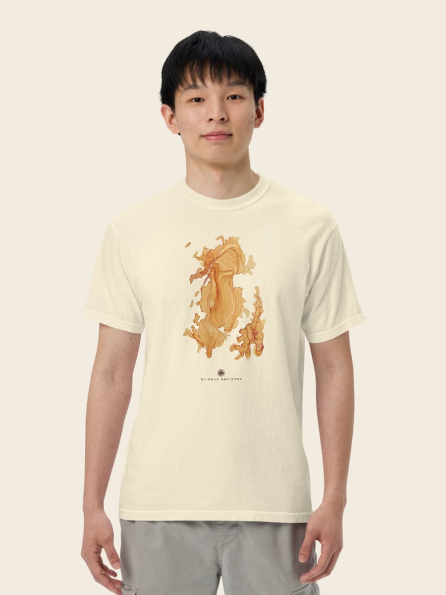 Strata heavyweight tee, worn