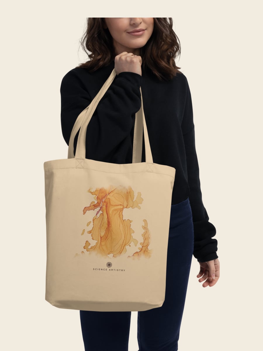 Strata canvas tote, worn
